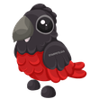 Dracula Parrot FR
