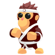 Karate Gorilla FR