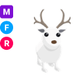 Arctic Reindeer MFR