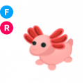 Axolotl FR