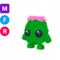 Cactus Friend MFR