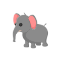 Elephant Common