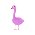 Flamingo Common
