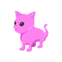 Pink Cat Common