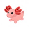 Axolotl Common