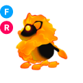Blazing Lion FR