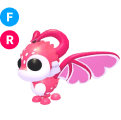 Cupid Dragon FR