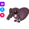 Bush Elephant MFR