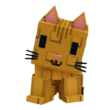 Orange Tabby