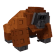 Orangutan