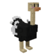 Ostrich