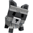 Raccoon