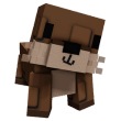 Sea Otter