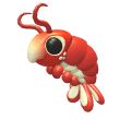 Emperor Shrimp FR