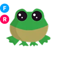 Frog FR