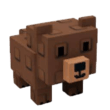 Grizzly Bear