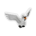 Swan