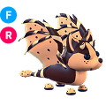 Chocolate Chip Bat Dragon FR
