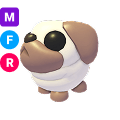 Snowball Pug MFR