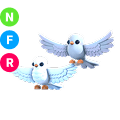 Turtle Doves FR