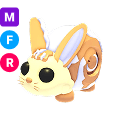 Bunny Swirl MFR