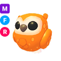 Clementine Owl MFR