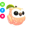 Peach Owl NFR