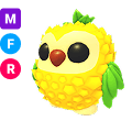 Fruit Royale Pet + 5x FREE Random Pet Wear + 5x FREE Random Toys