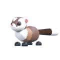 Black-Footed Ferret Common