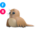 Galapagos Sea Lion NFR