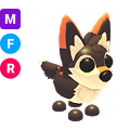 Mexican Wolf MFR