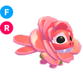 Rose Dragon FR