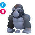 Silverback Gorilla FR