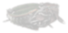 Slot 6