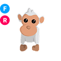 Albino Monkey FR