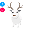 Arctic Reindeer FR