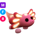 Axolotl MFR