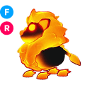 Blazing Lion FR