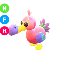 Dodo NFR