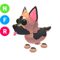 German Shepherd NFR