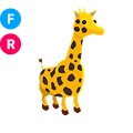 Giraffe FR