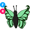 Green Butterfly FR