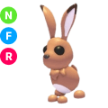 Hare NFR