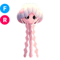 Jellyfish FR
