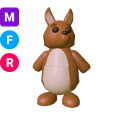Kangaroo MFR
