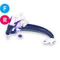 Midnight Dragon FR