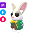 Mr Whiskerpips MFR