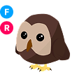 Owl FR