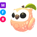 Peach Owl MFR