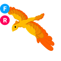 Phoenix FR